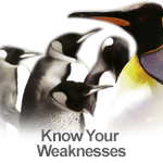 Know Your Weaknesses